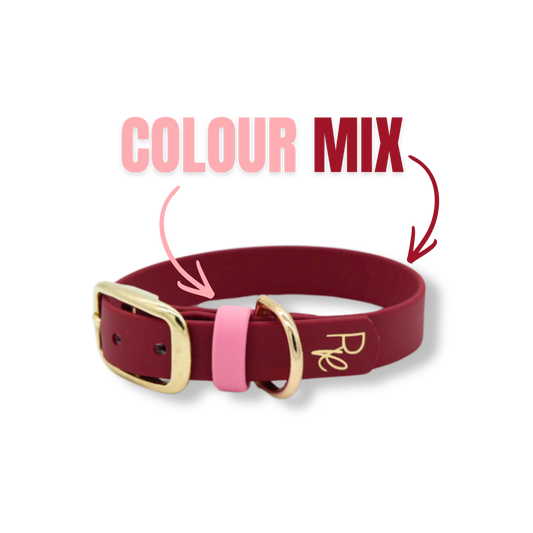Halsband aus Biothane | COLOUR MIX | ALL COLLECTIONS