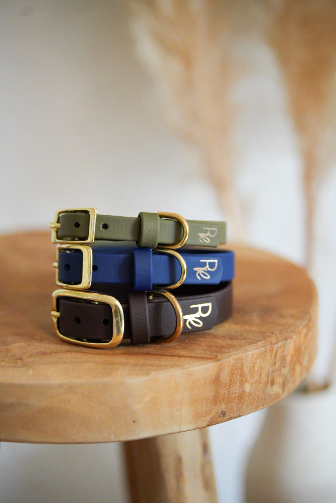 Halsband aus Biothane | BOHO CHIC