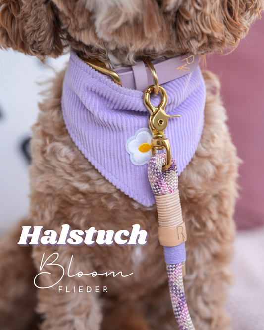 BLOOM | Wendehalstuch flieder