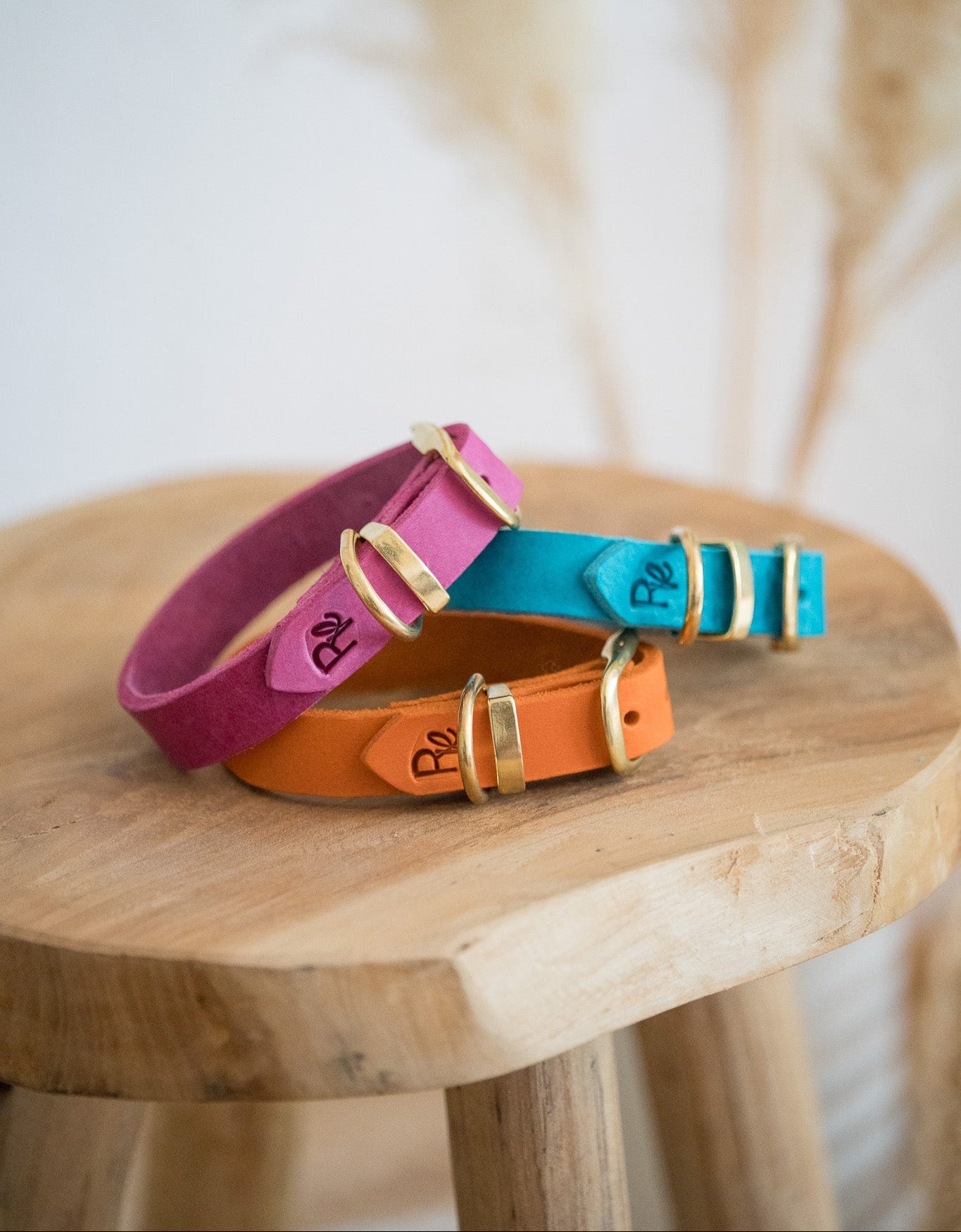 Colour Clash style world – bold contrasts, vibrant color combinations
