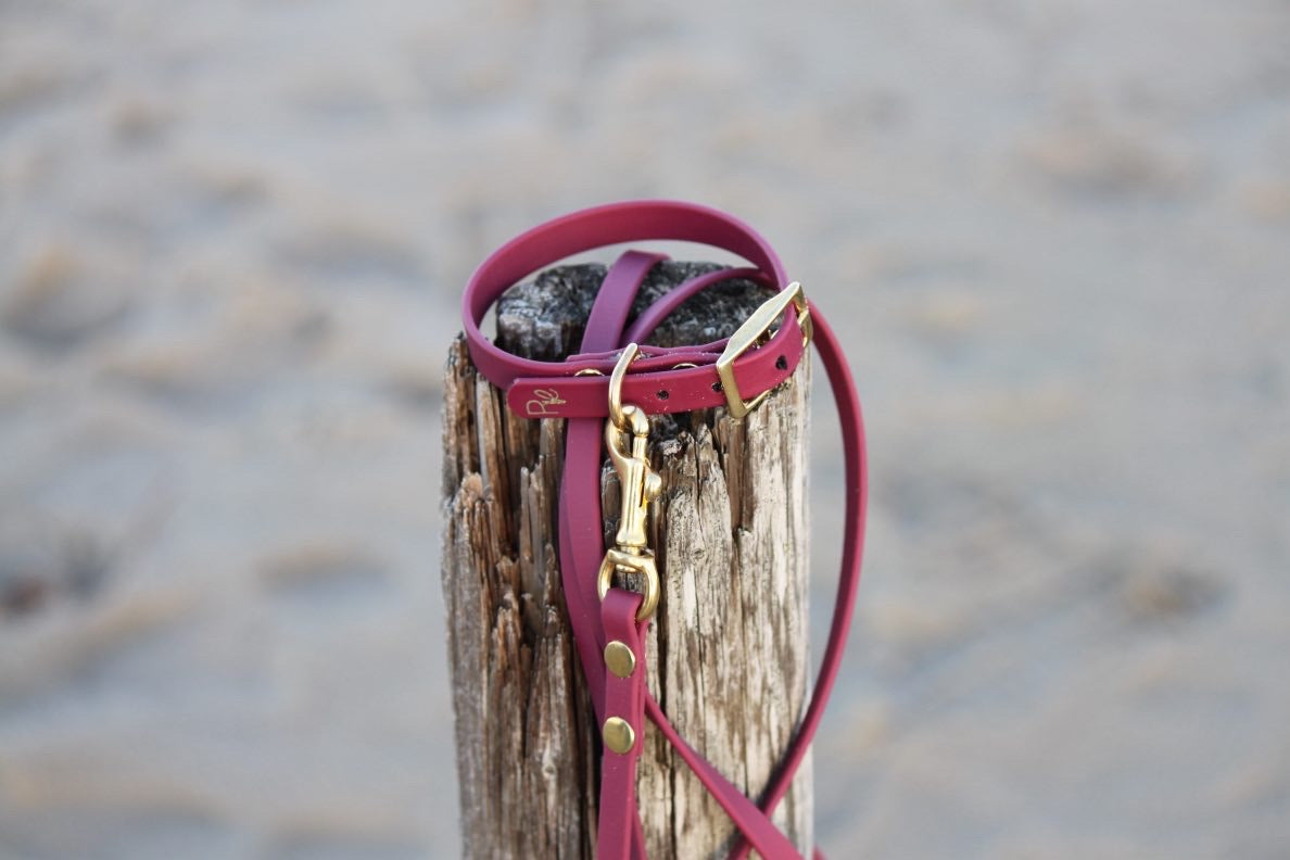 Halsband aus Biothane | BOHO CHIC