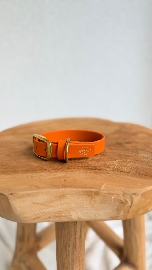 BioThane Collar 19mm ORANGE HU 25