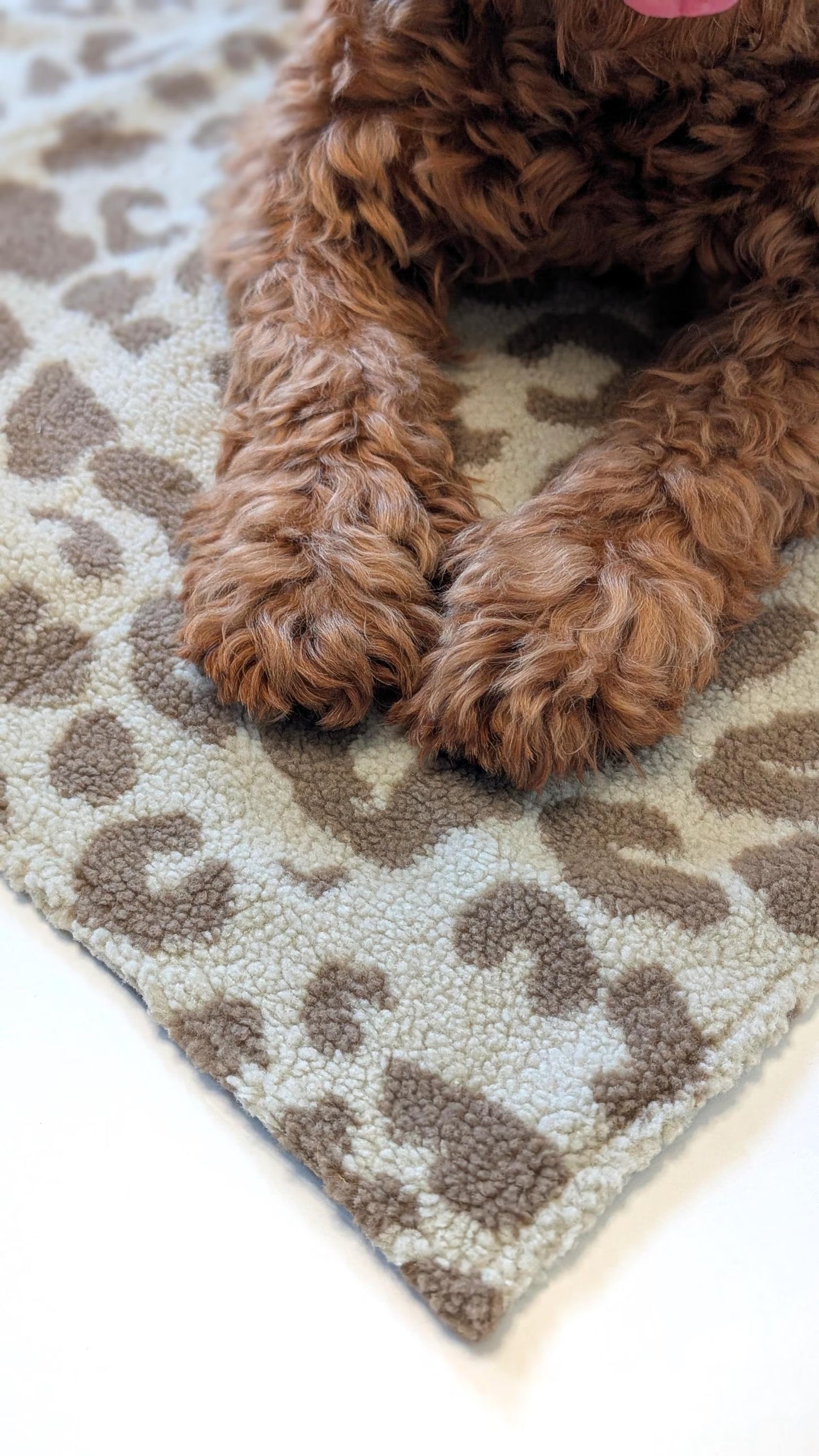 CLOUDLET | Cozy Blanket Taupe