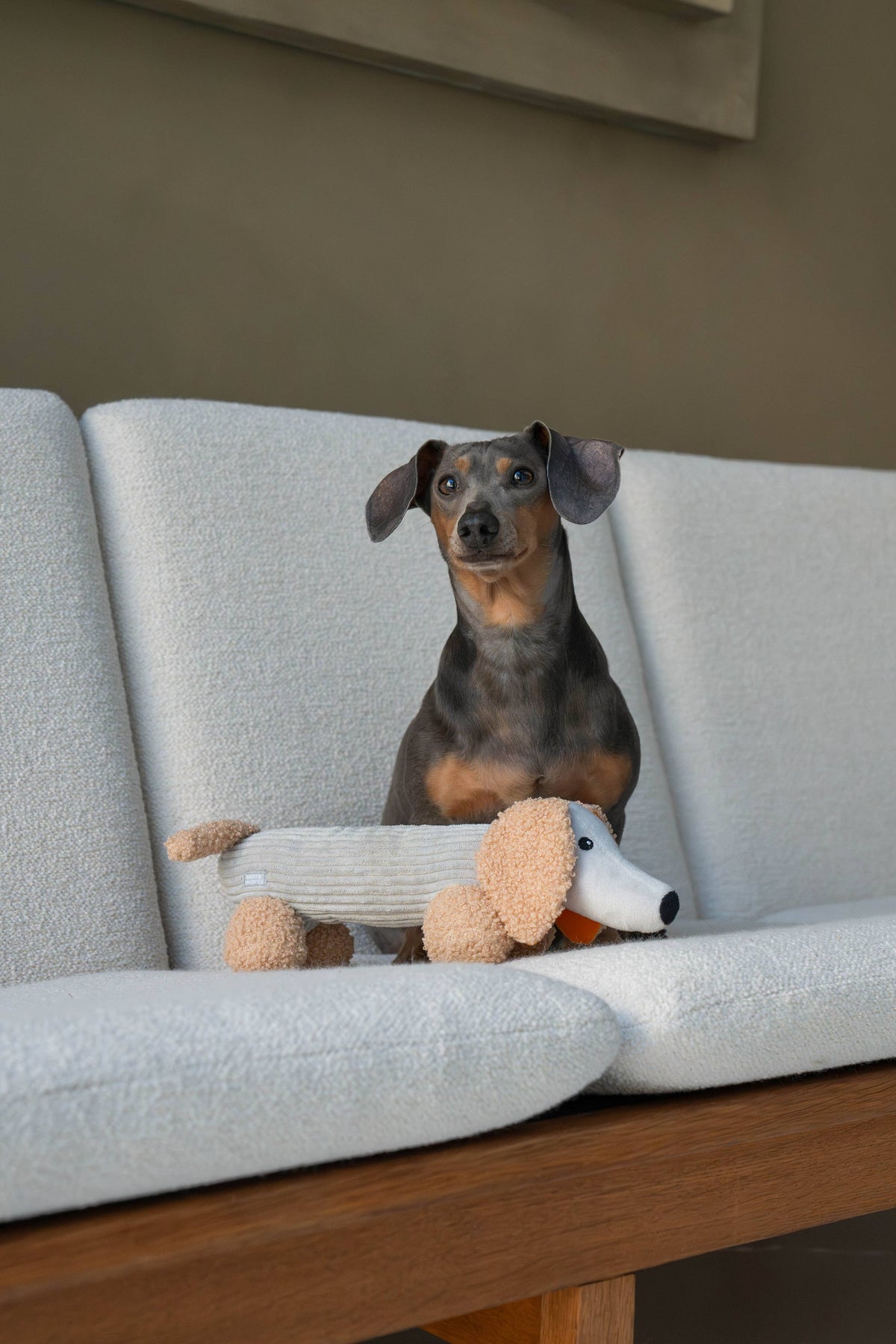 MICKY | Hundespielzeug, grau