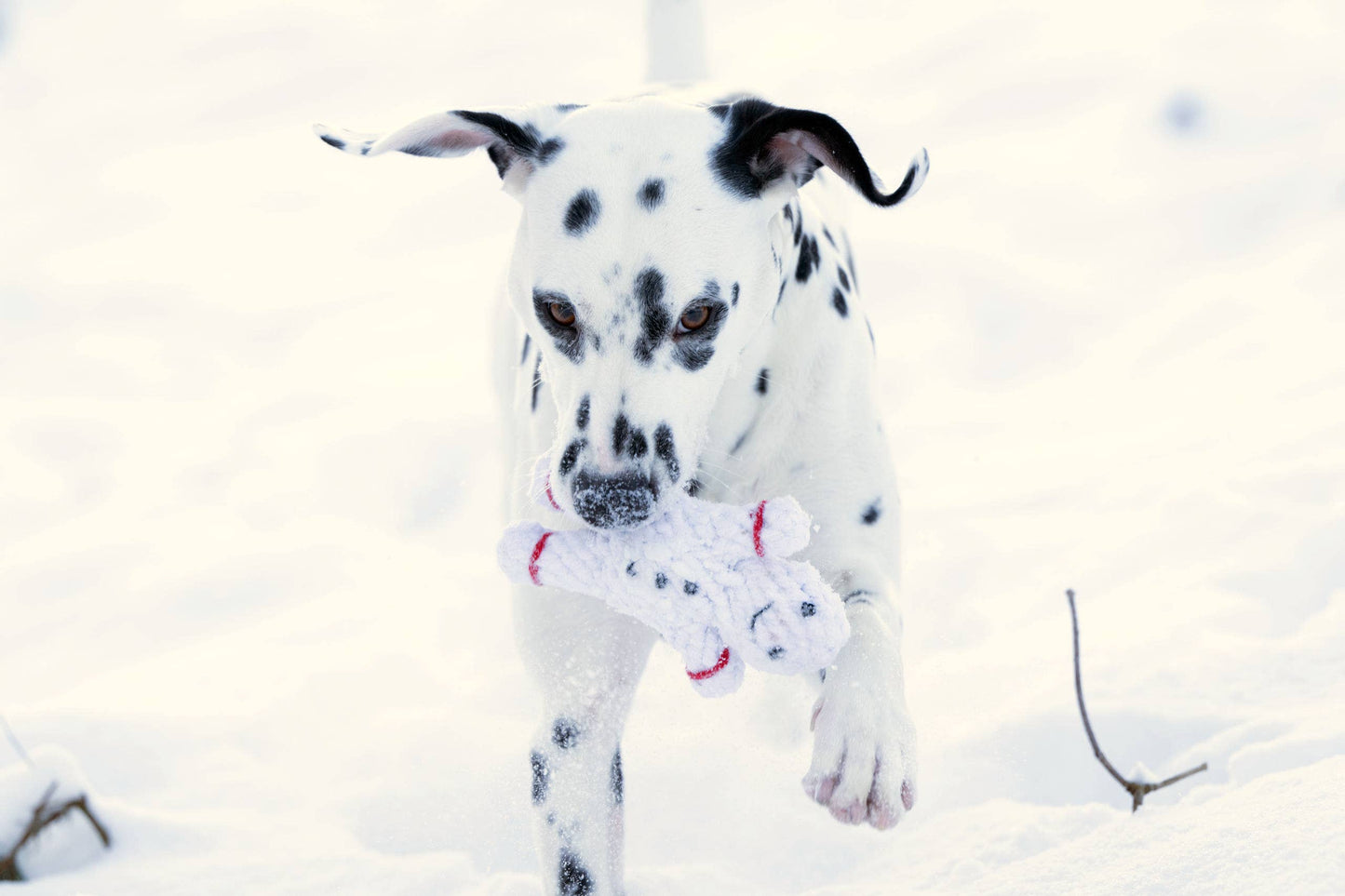SHAWN DER SCHNEEMANN | Kauspielzeug