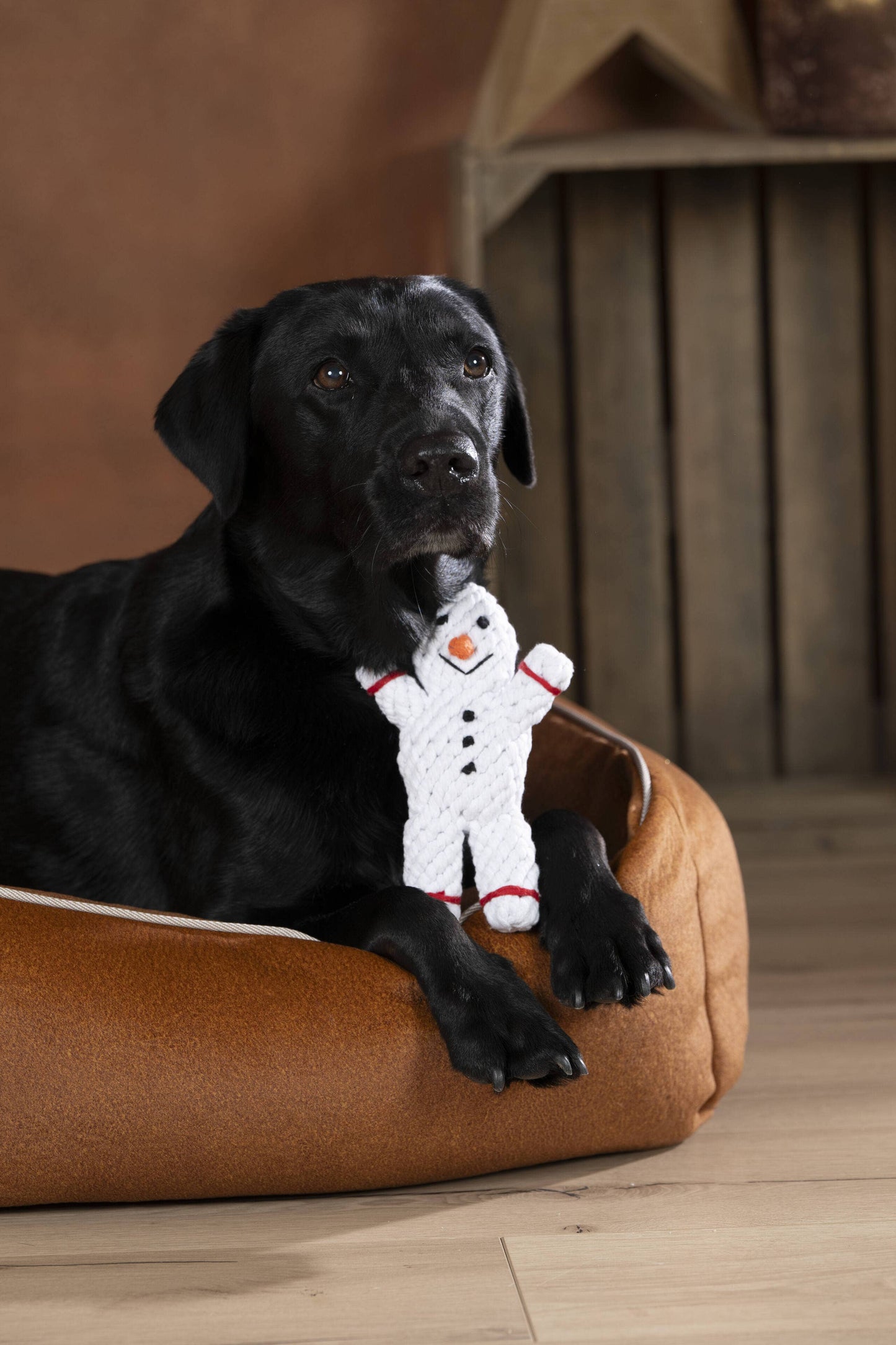 SHAWN DER SCHNEEMANN | Kauspielzeug