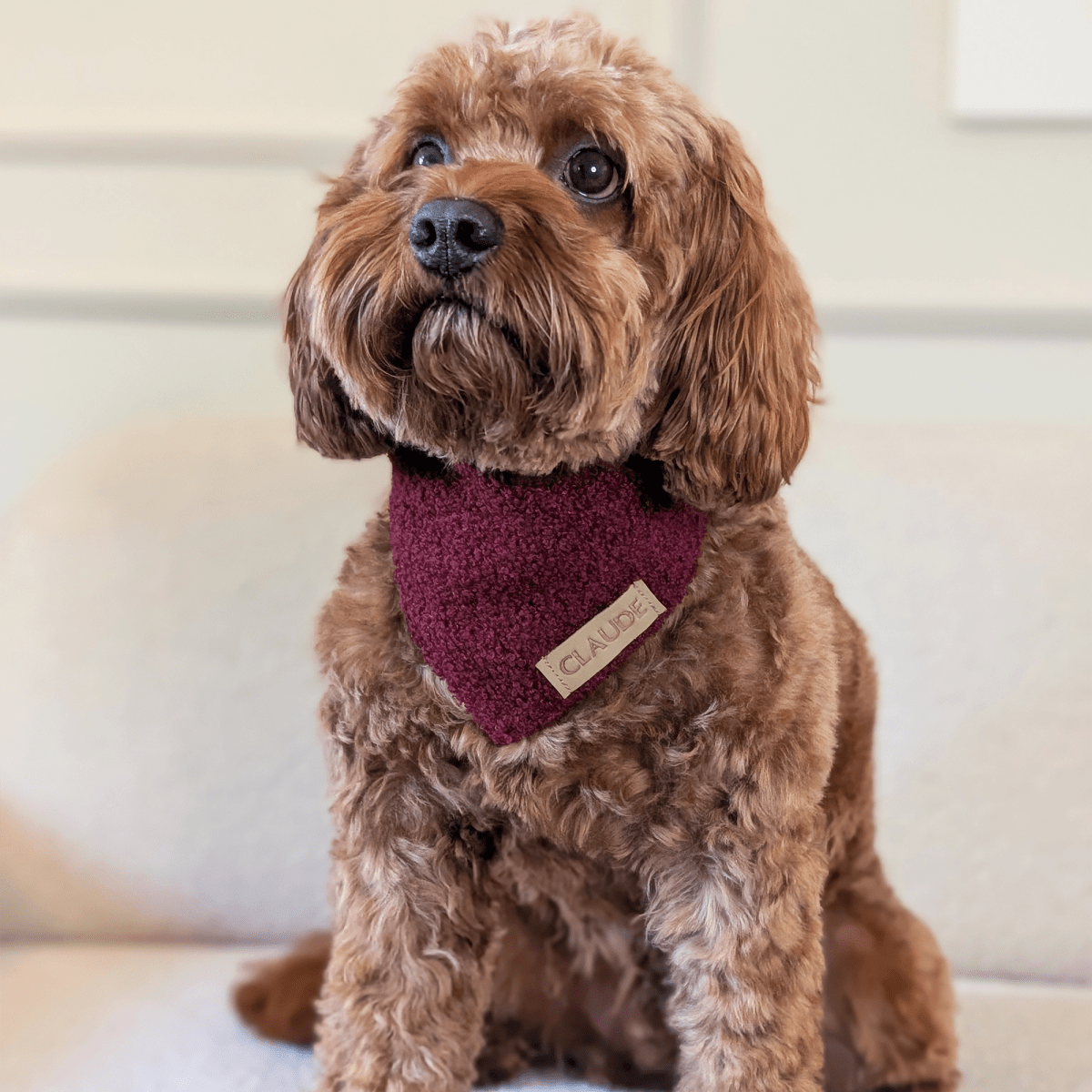 BLOOMBERRY | Wendehalstuch burgundy - RudisRudel