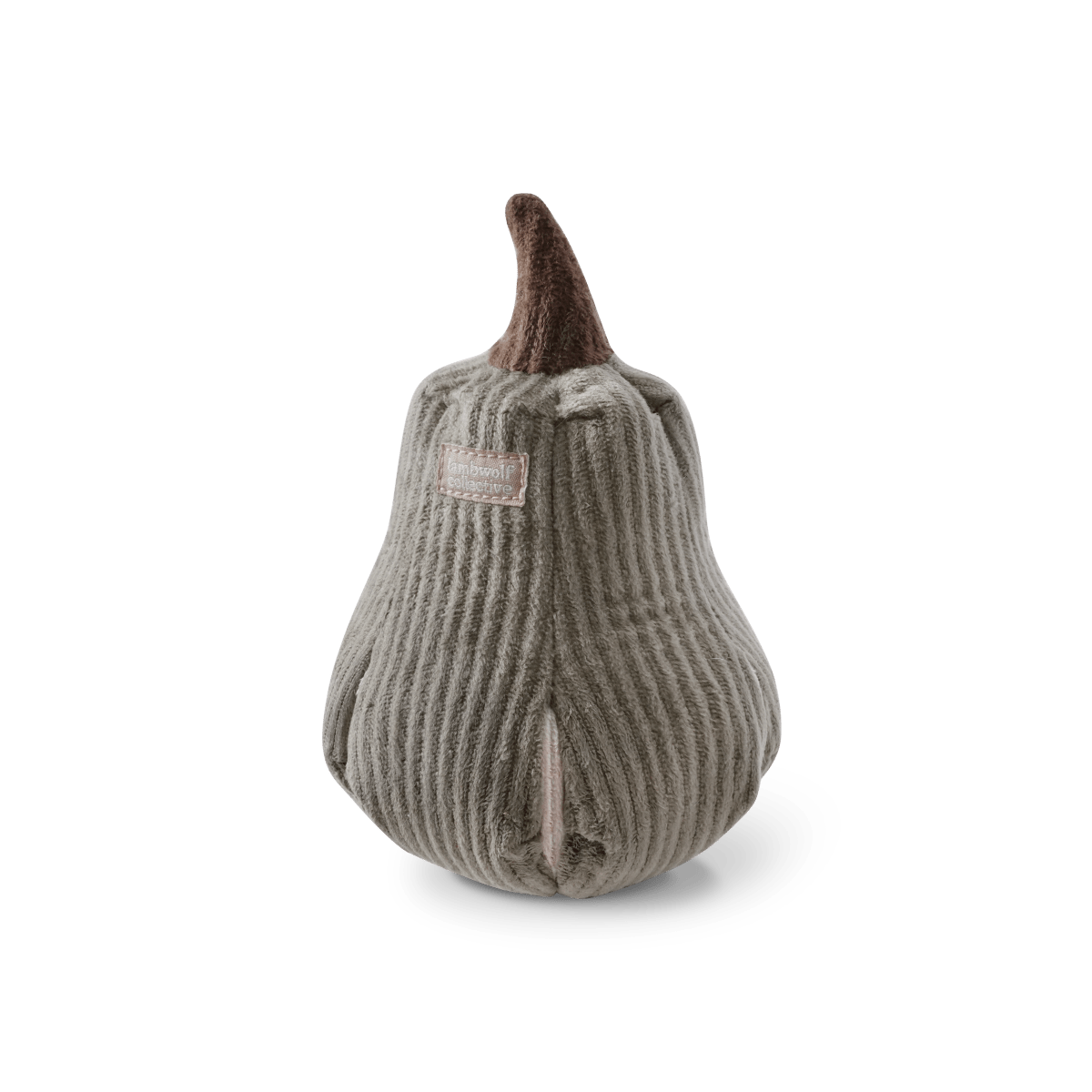BUTTERNUT | Schnüffelkürbis - RudisRudel