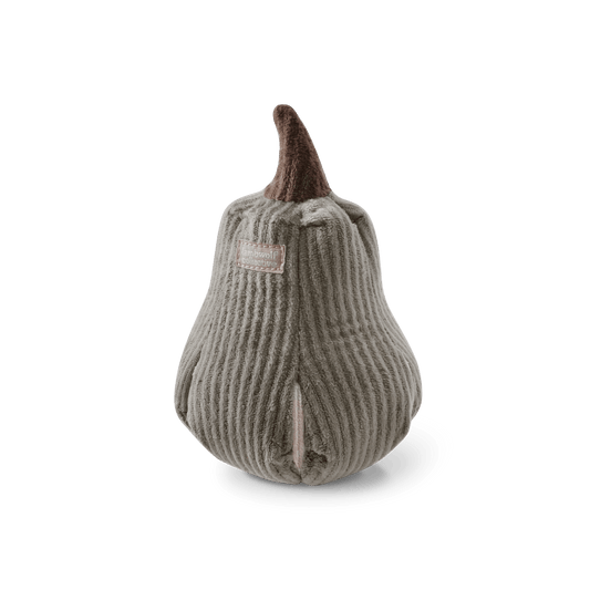 BUTTERNUT | Schnüffelkürbis - RudisRudel