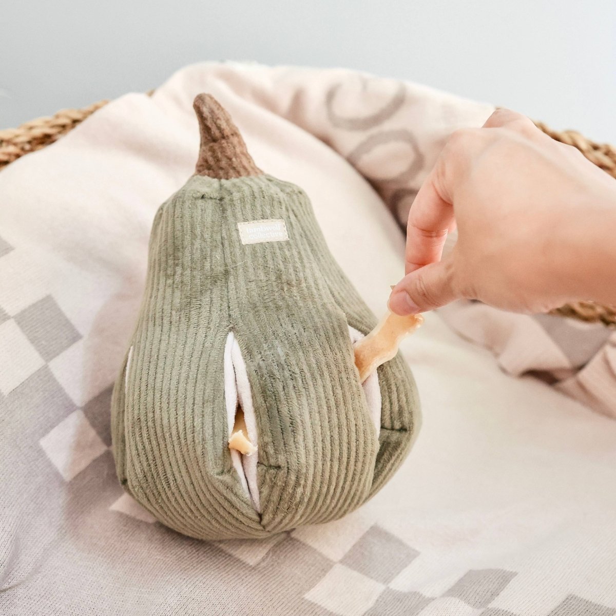 BUTTERNUT | Schnüffelkürbis - RudisRudel
