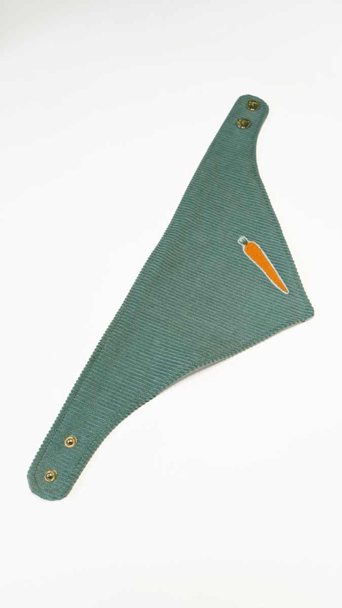 CARROT CLUB | Wendehalstuch mint, EASTER EDITION - RudisRudel