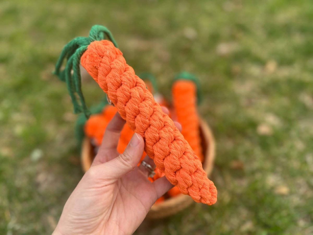 CARROT | Kauspielzeug - RudisRudel