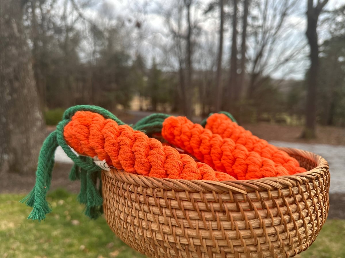 CARROT | Kauspielzeug - RudisRudel