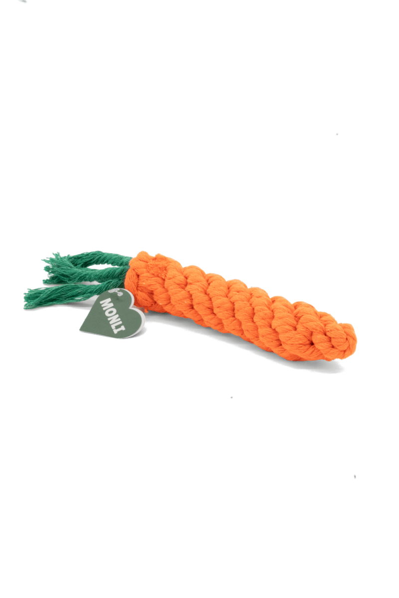 CARROT | Kauspielzeug - RudisRudel