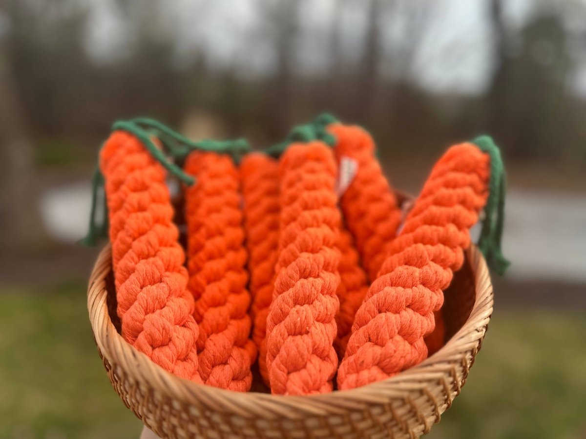 CARROT | Kauspielzeug - RudisRudel