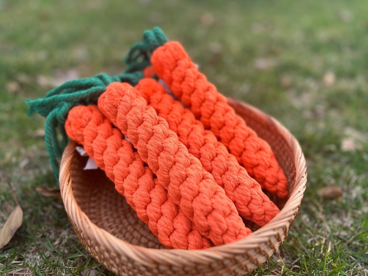 CARROT | Kauspielzeug - RudisRudel