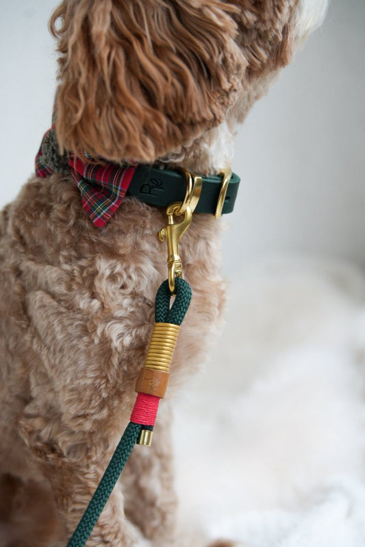 CHRISTMAS CHARM | Hundefliege CHRISTMAS EDITION - RudisRudel