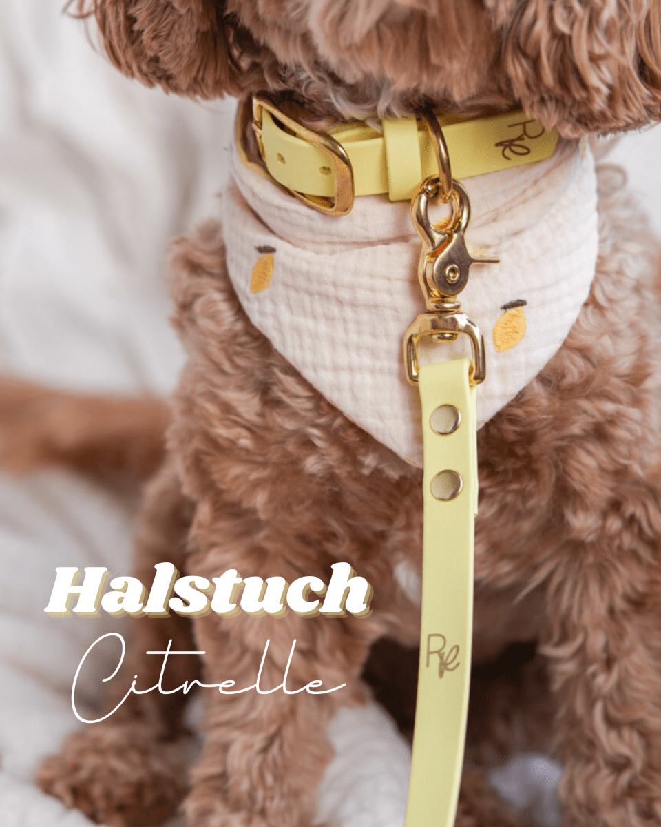 CITRELLE | Wendehalstuch mit Zitronen - RudisRudel