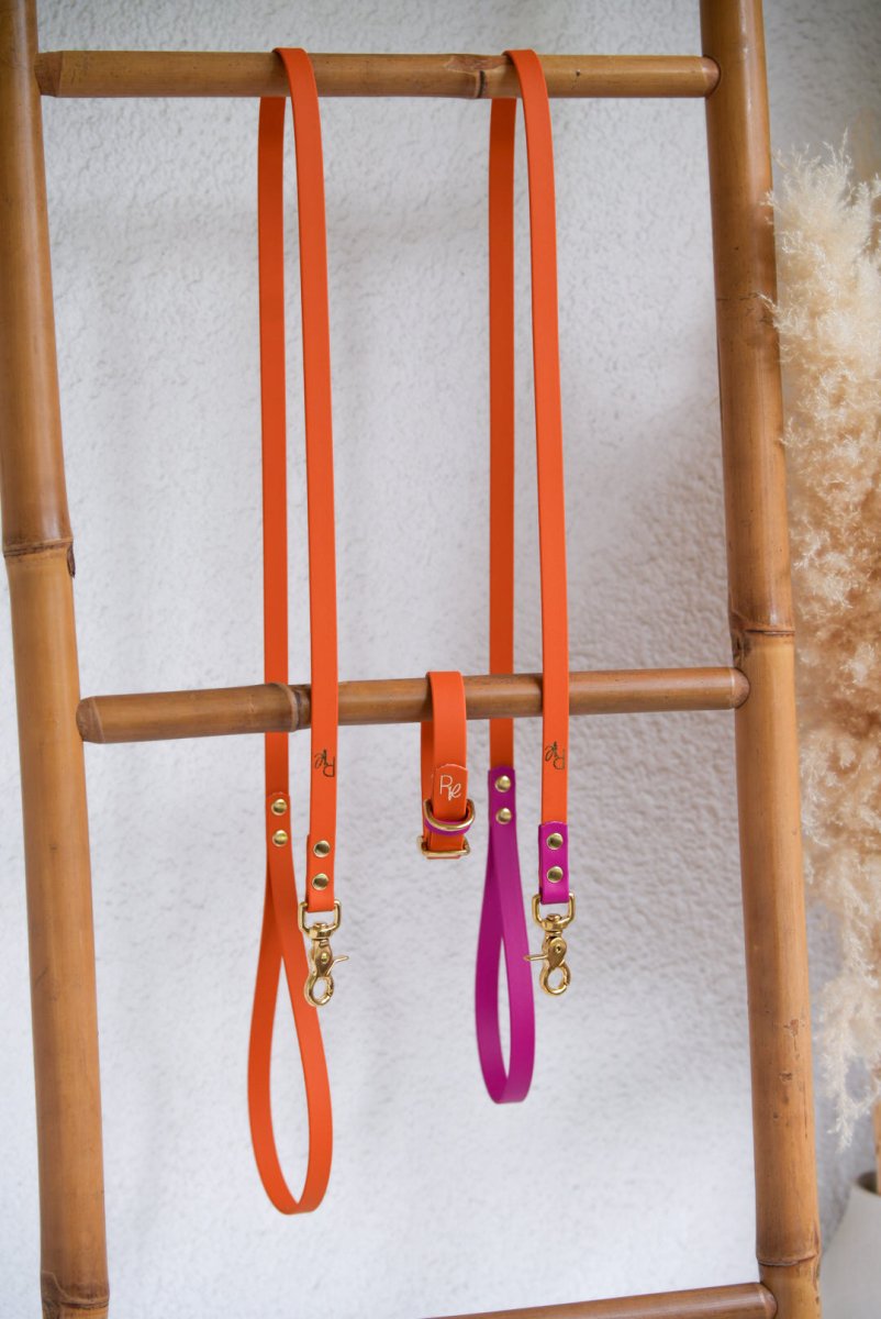Cityleine aus Biothane | COLOUR CLASH - RudisRudel