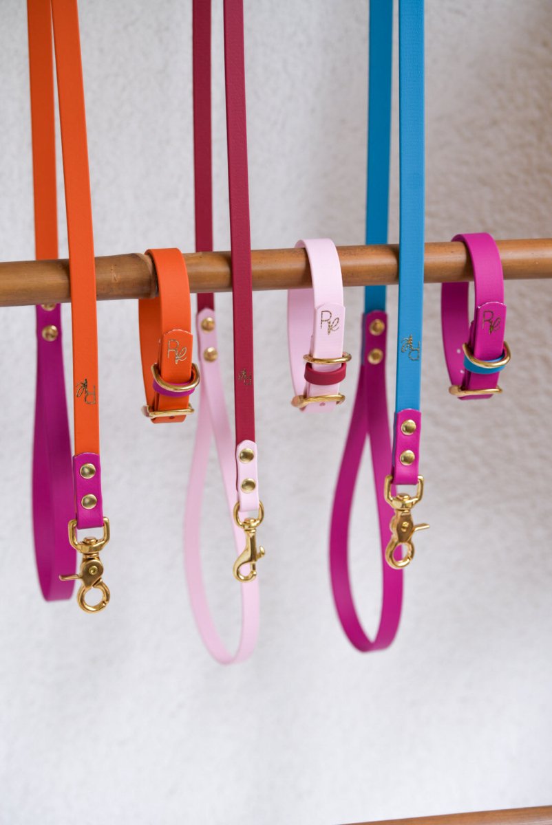 Cityleine aus Biothane | COLOUR MIX | ALL COLLECTIONS - RudisRudel