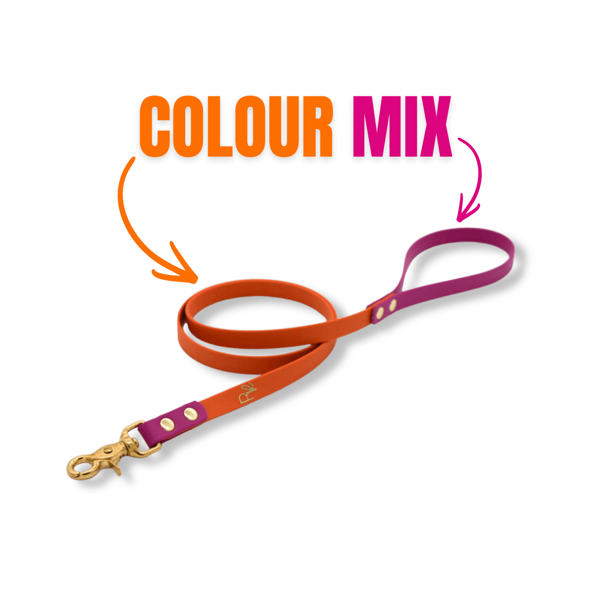 Cityleine aus Biothane | COLOUR MIX | ALL COLLECTIONS - RudisRudel