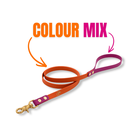 Cityleine aus Biothane | COLOUR MIX | ALL COLLECTIONS - RudisRudel