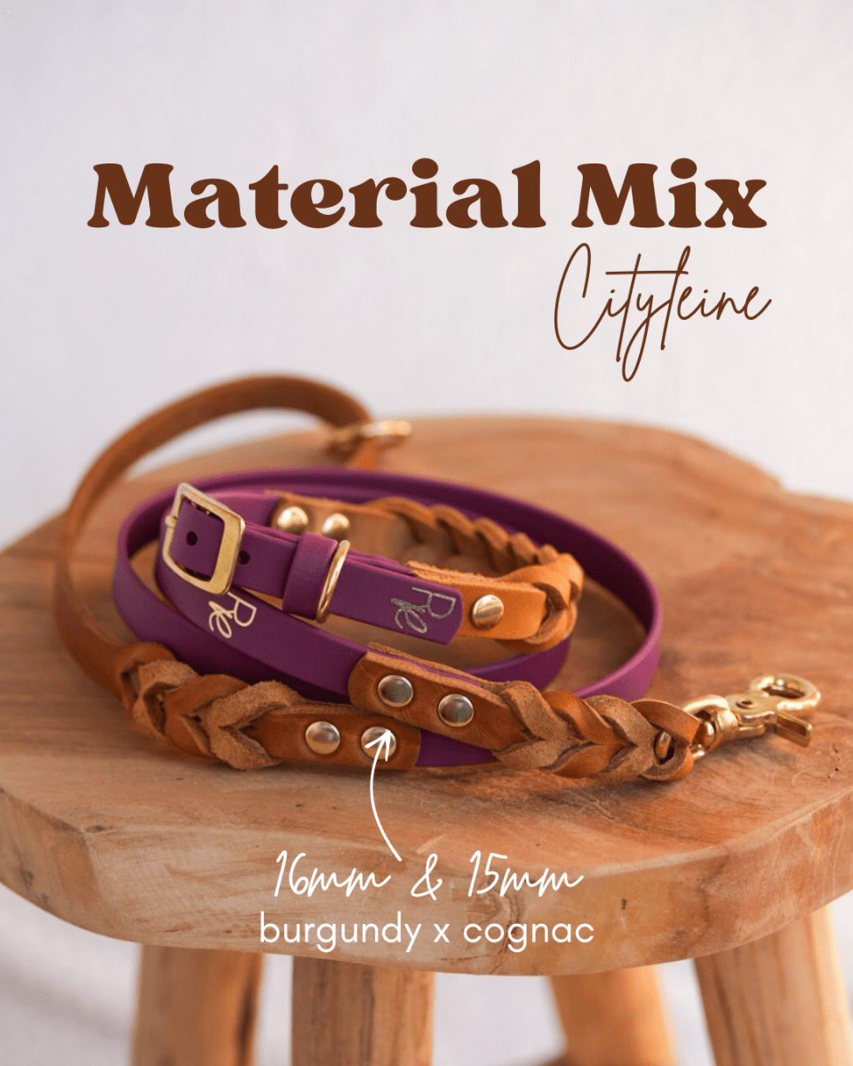 Cityleine aus Biothane & Fettleder | MATERIAL MIX | ALL COLLECTIONS - RudisRudel