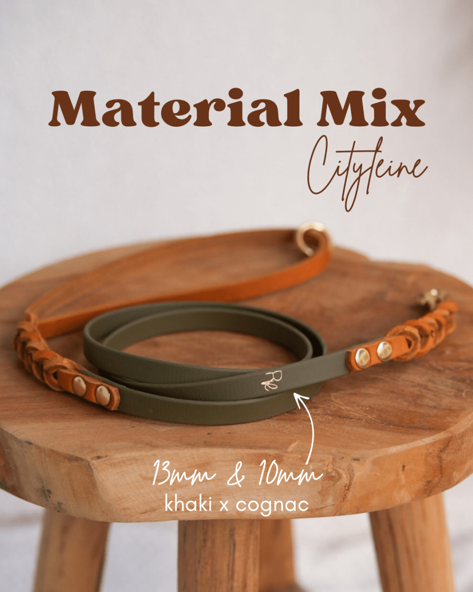 Cityleine aus Biothane & Fettleder | MATERIAL MIX | ALL COLLECTIONS - RudisRudel