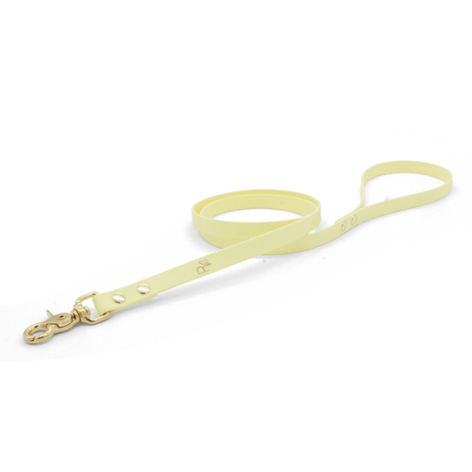 Cityleine aus Biothane | PASTEL DREAMS - RudisRudel