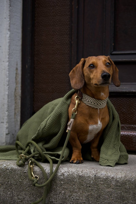 COCO | Kuscheldecke grau - RudisRudel