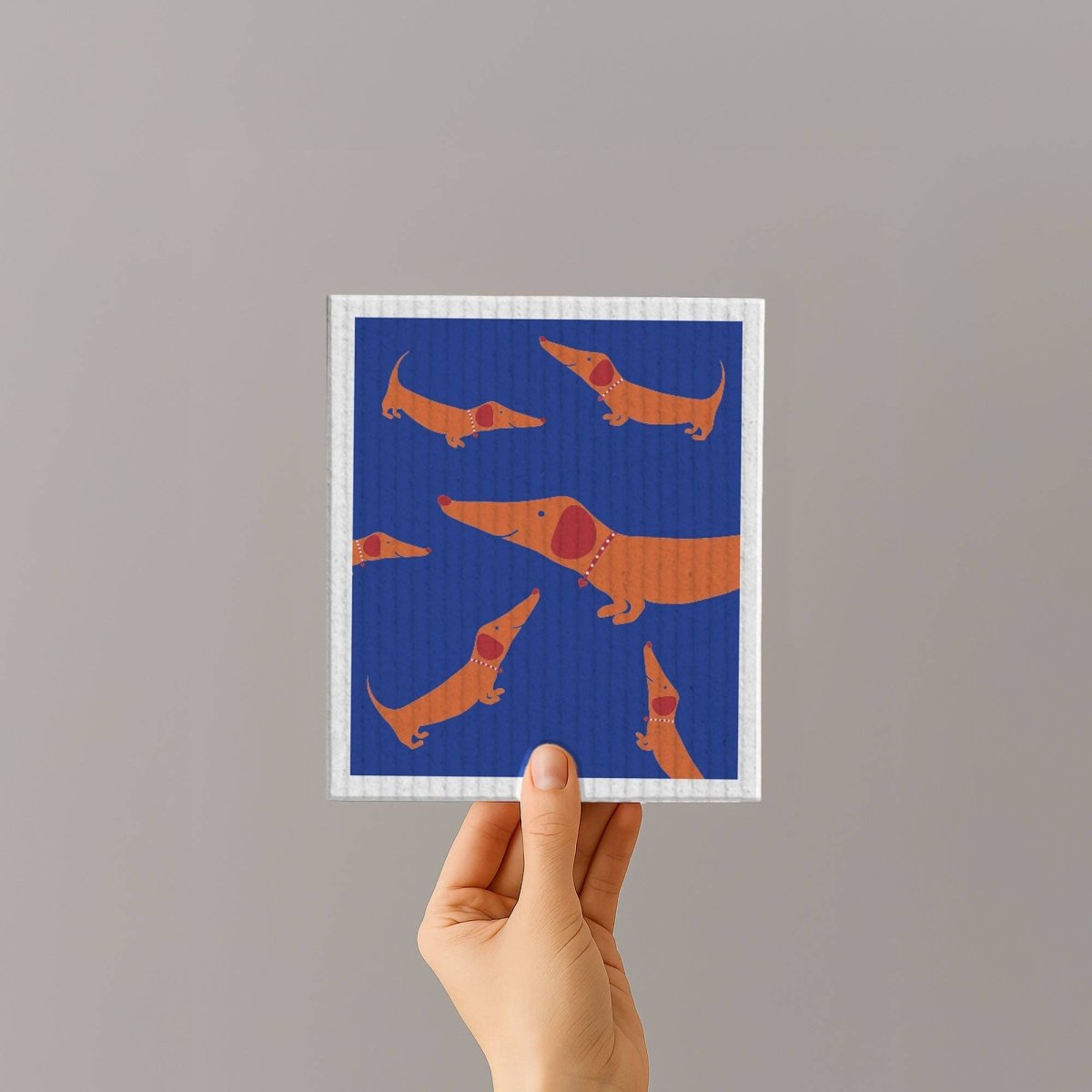 DACKELCHEN | Schwammtuch - RudisRudel