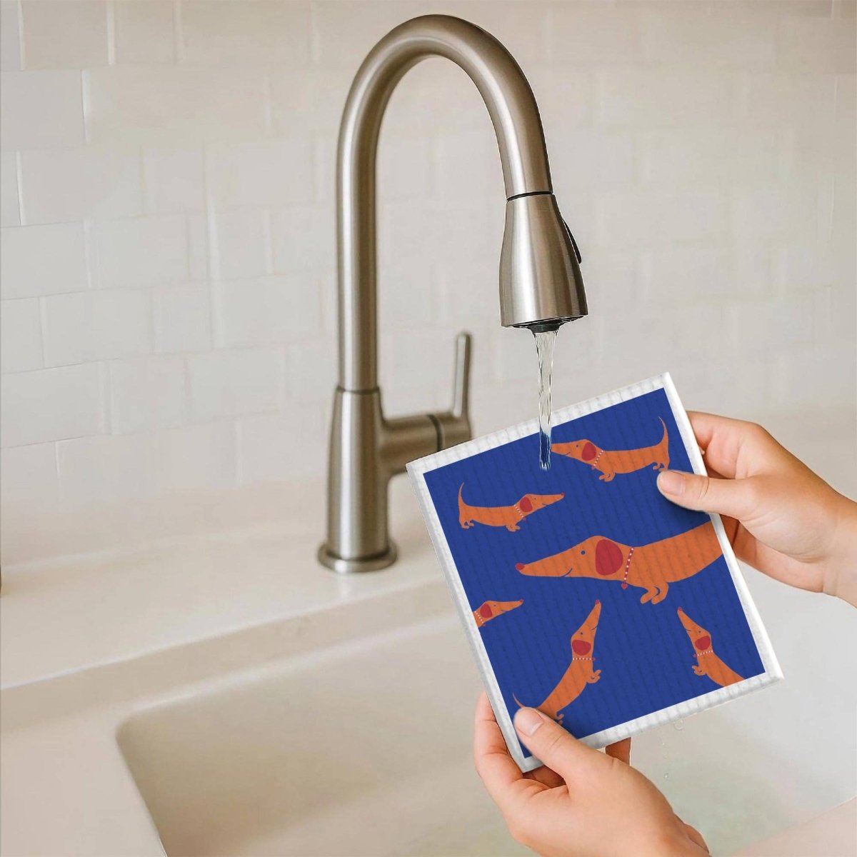 DACKELCHEN | Schwammtuch - RudisRudel