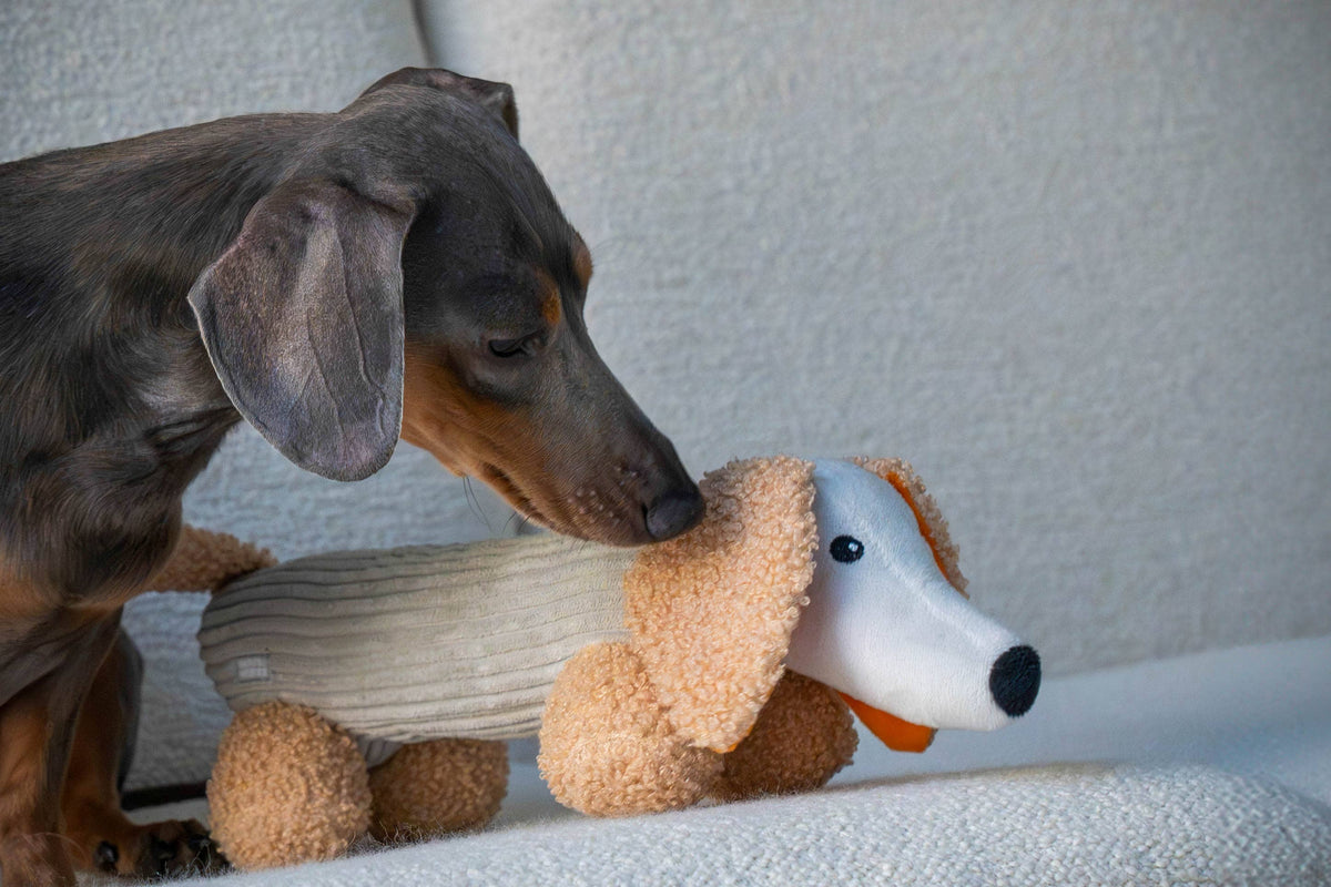 MICKY | Hundespielzeug, grau