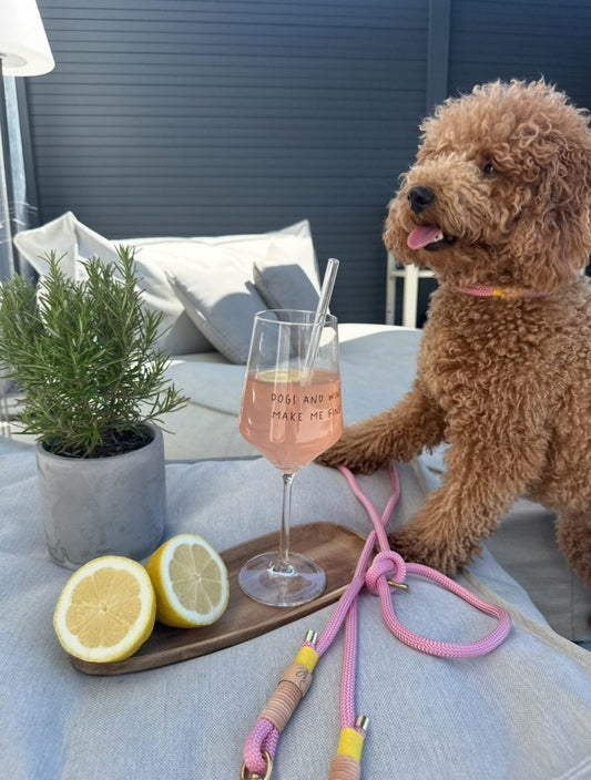 DOGS AND WINE MAKE ME FINE | Weinglas 55cl - RudisRudel