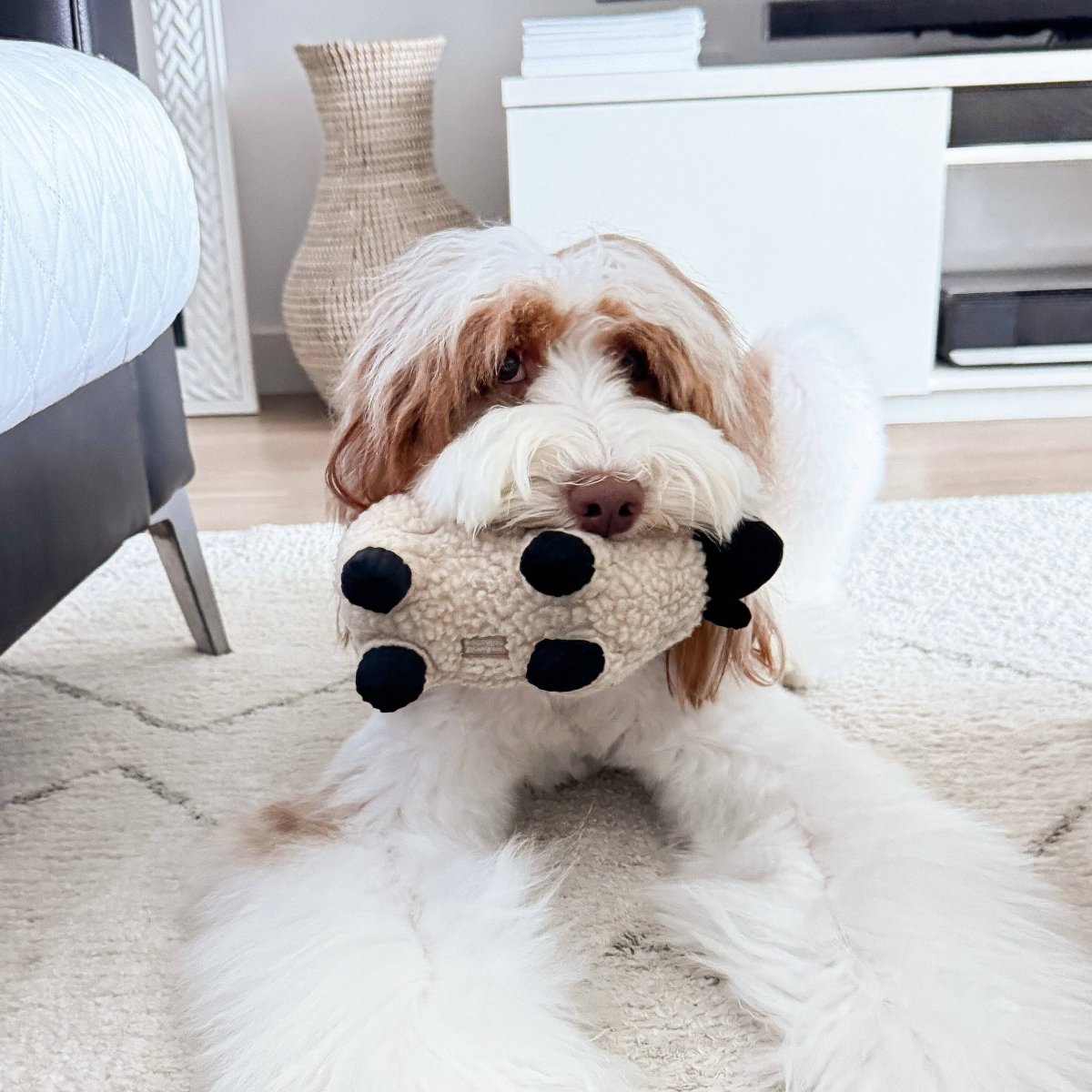 DOLLY | Hundespielzeug - RudisRudel