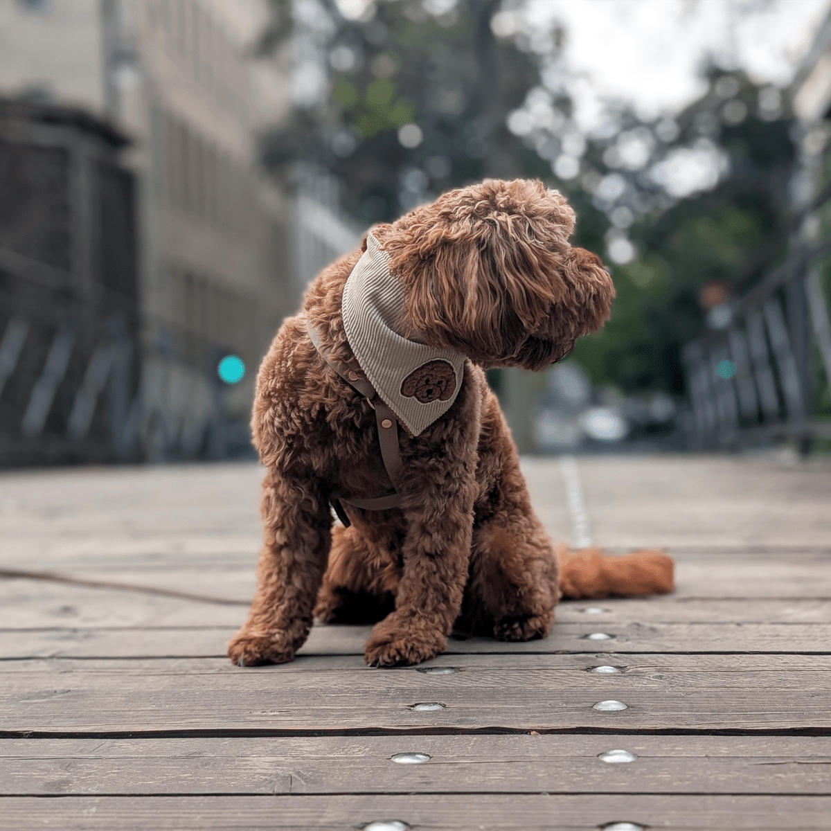 DOODLE DREAM | Wendehalstuch mit braunem Hundepatch - RudisRudel