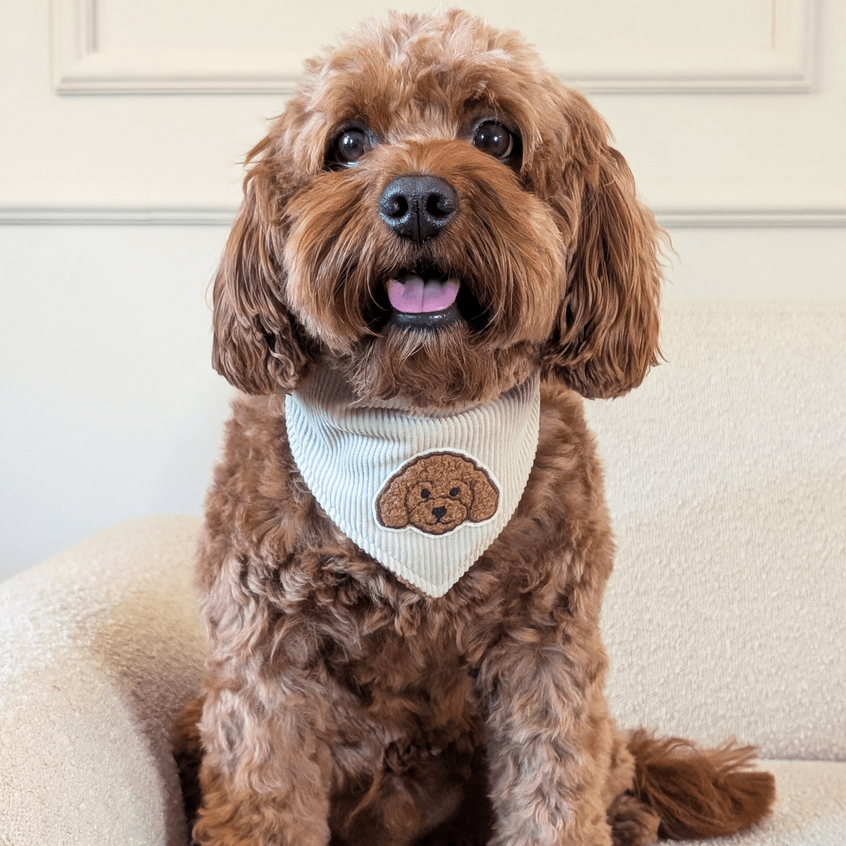 DOODLE DREAM | Wendehalstuch mit braunem Hundepatch - RudisRudel
