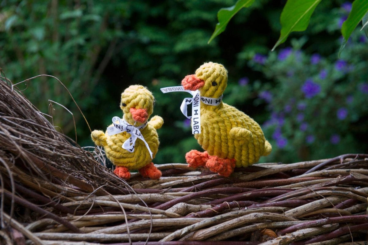 EMMA ENTE | Kauspielzeug - RudisRudel