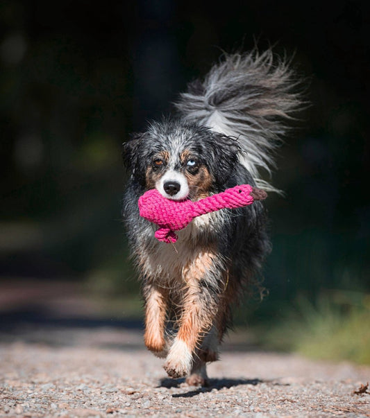 FRANZI FLAMINGO | Kauspielzeug - RudisRudel