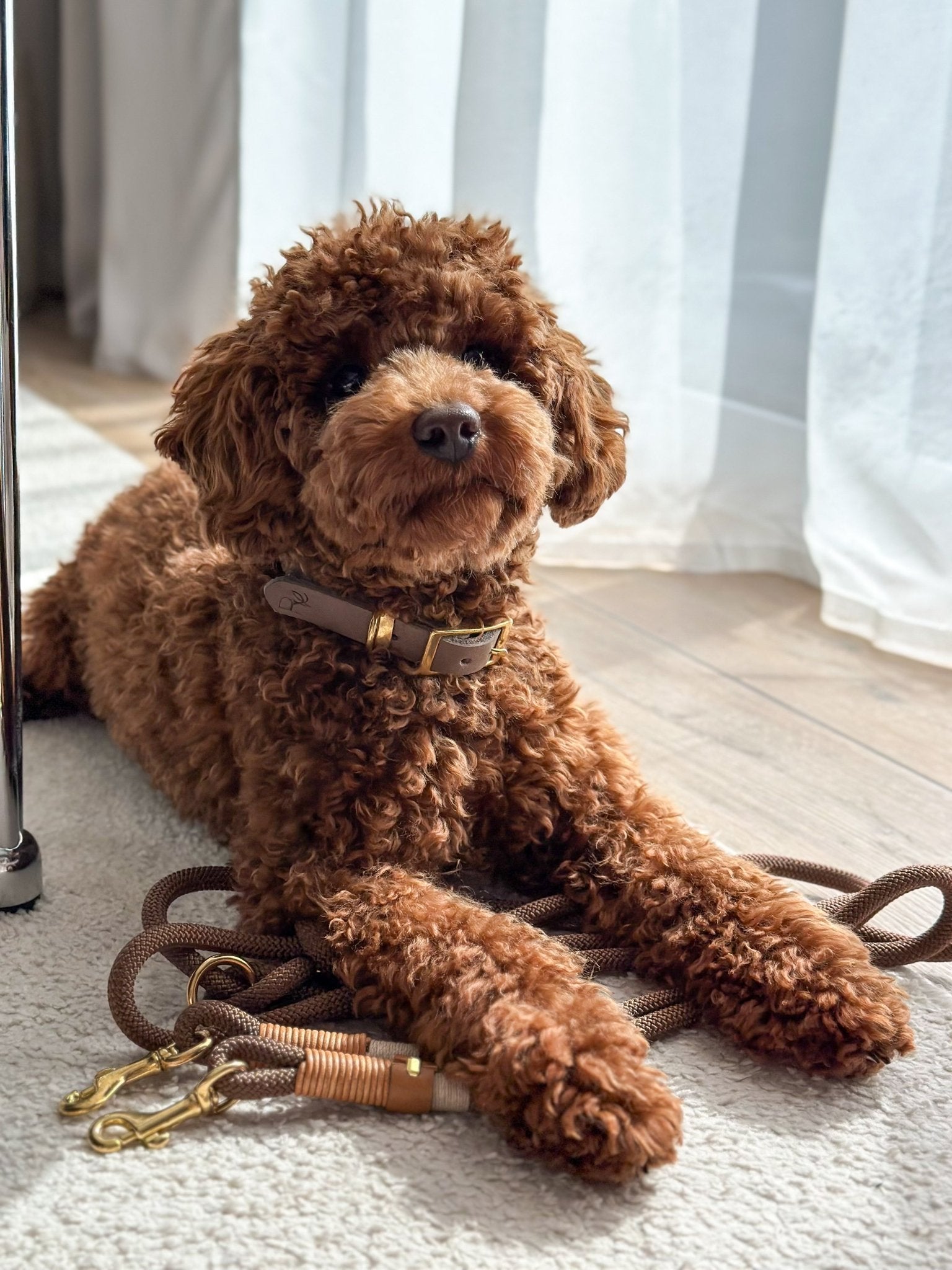 Geflochtenes Halsband aus Fettleder | BOHO CHIC - RudisRudel