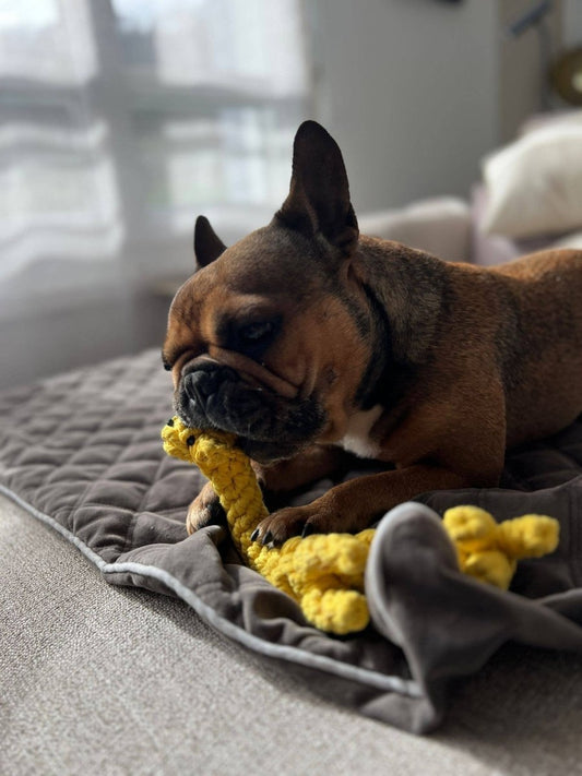 GRETCHEN GIRAFFE | Kauspielzeug - RudisRudel