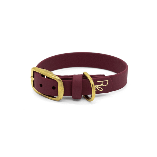 Halsband aus Biothane 16/19/25mm | SONDERFARBE BRAUN - RudisRudel