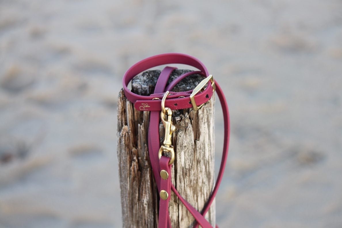 Halsband aus Biothane | BOHO CHIC - RudisRudel