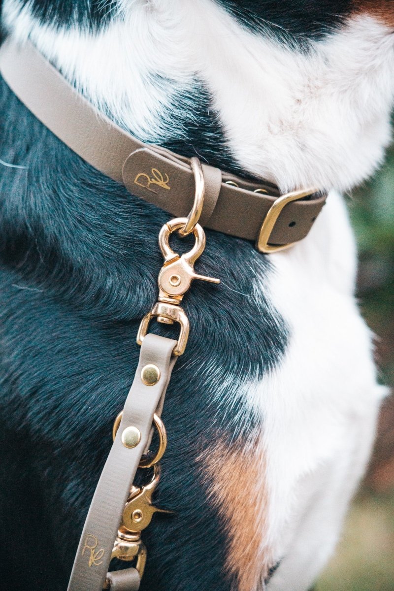 Halsband aus Biothane | BOHO CHIC - RudisRudel