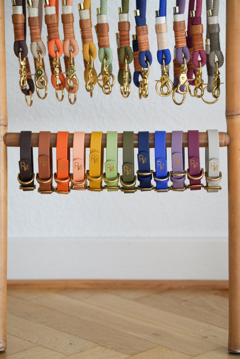Halsband aus Biothane | BOHO CHIC - RudisRudel