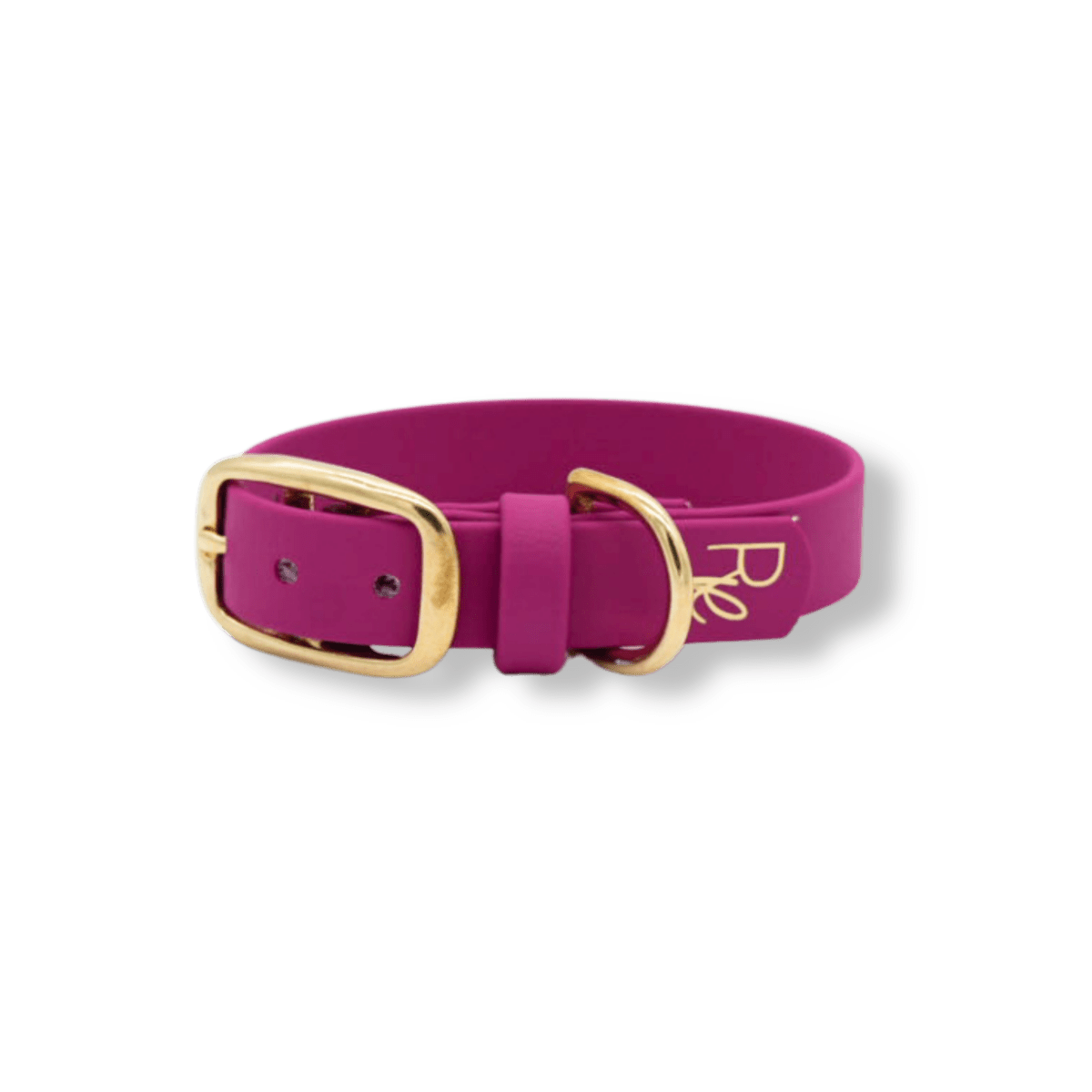 Halsband aus Biothane | COLOUR CLASH - RudisRudel