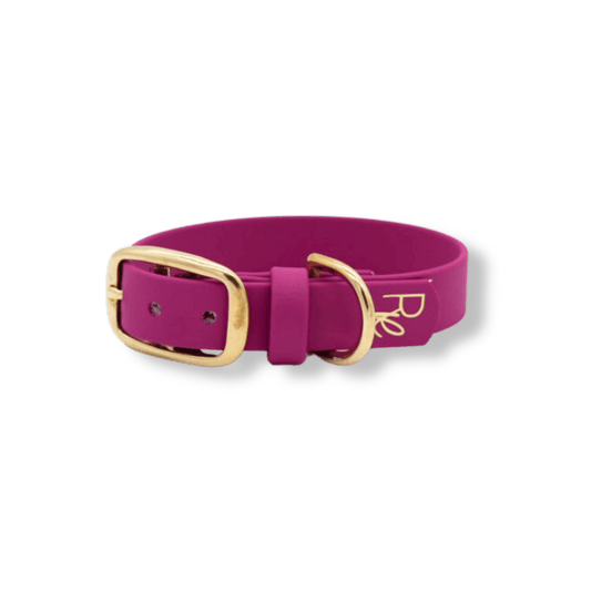 Halsband aus Biothane | COLOUR CLASH - RudisRudel