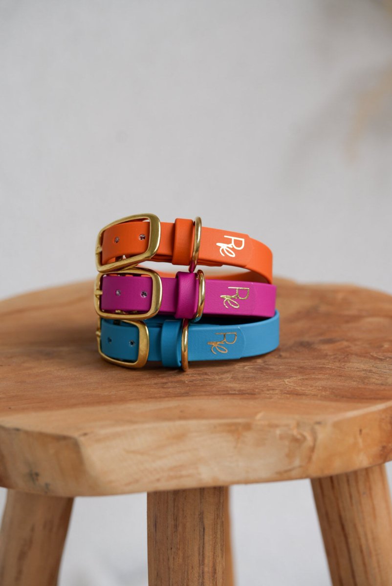 Halsband aus Biothane | COLOUR CLASH - RudisRudel