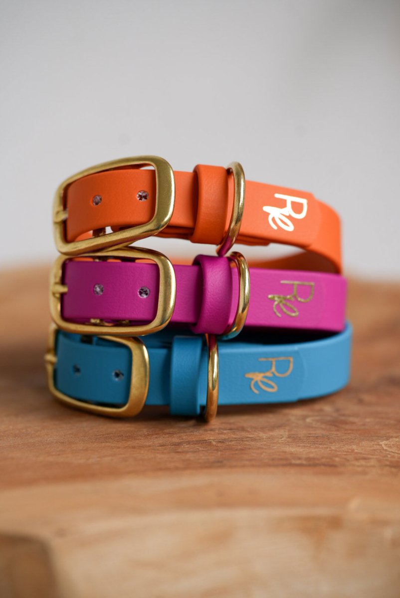 Halsband aus Biothane | COLOUR CLASH - RudisRudel
