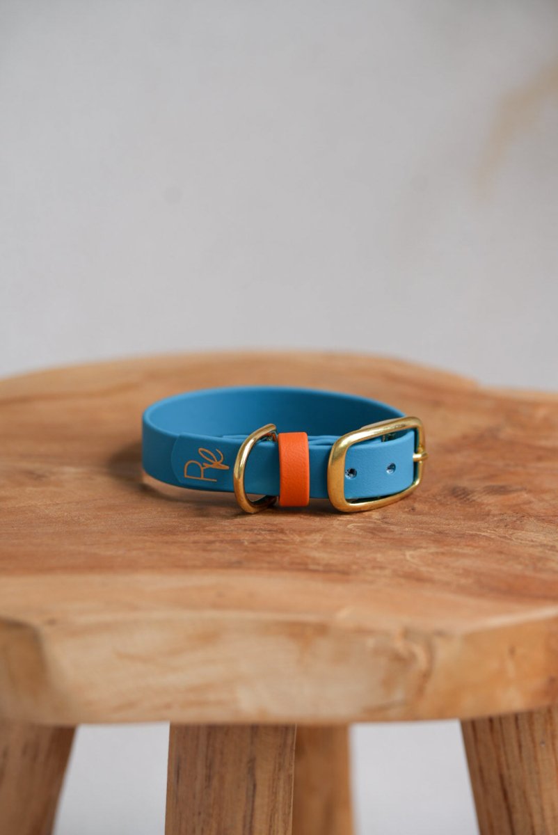 Halsband aus Biothane | COLOUR MIX | ALL COLLECTIONS - RudisRudel